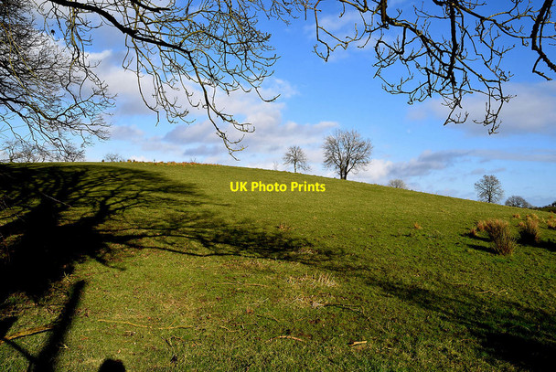Photo 6"x4" Shadows in a field, Baronagh Omagh c2022
