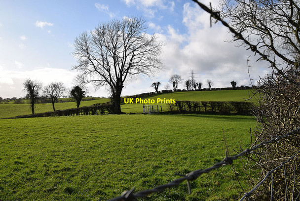 Photo 6"x4" Tullycunny Townland Omagh c2022