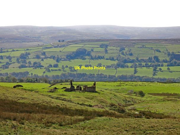 Photo 6"x4" The cleugh of Rogerley Gill Burn above Pit House Frosterley c2020