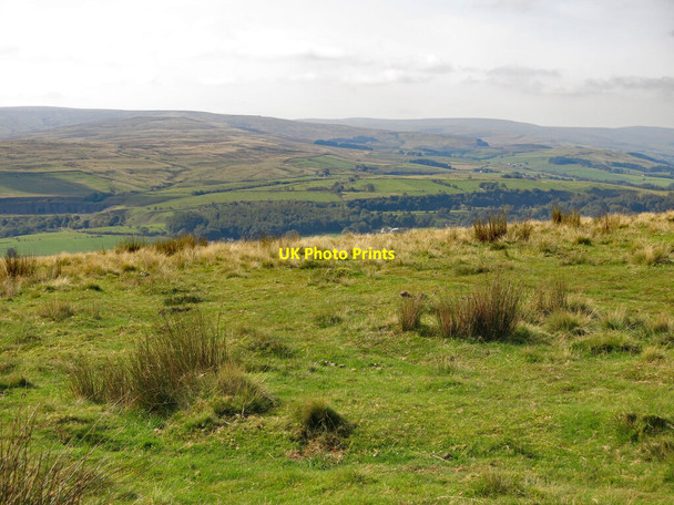 Photo 6"x4" Rough pastures above Pit House Frosterley c2020