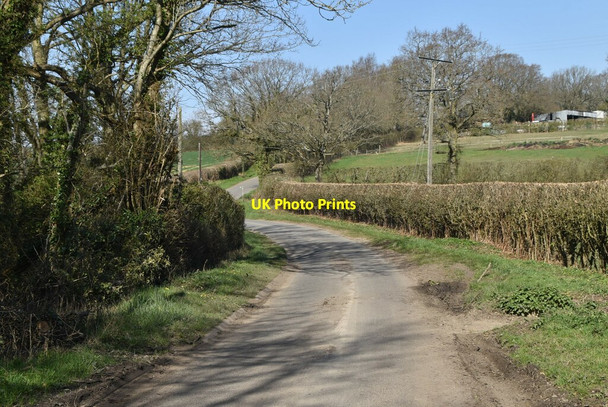 Photo 6"x4" Ewhurst Lane Ewhurst Green\/TQ7924 c2021 P1