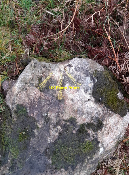 Photo 6"x4" Ordnance Survey Pivot Reynoldston c2022