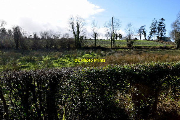 Photo 6"x4" Rough ground, Clanabogan Lower Omagh c2022