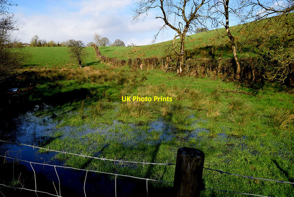 Photo 6"x4" Wet ground, Clanabogan Lower Omagh c2022