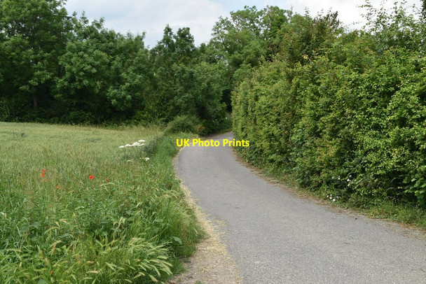 Photo 6"x4" Mill Lane Bassingbourn c2021