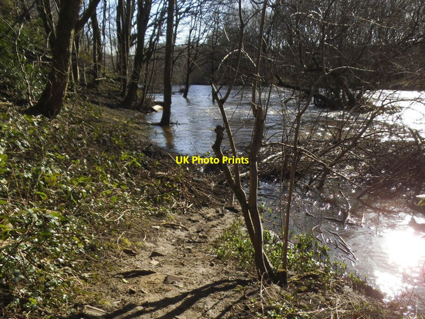 Photo 6"x4" River Aire below St Ann's weir Kirkstall c2022