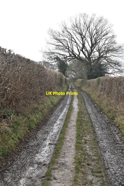 Photo 6"x4" Muddy farm track Dryhill\/TQ4955 c2022