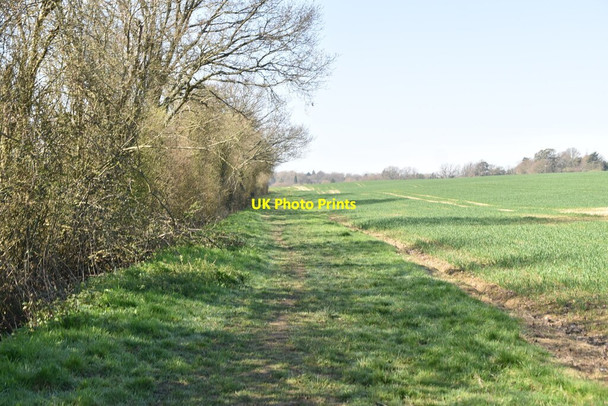 Photo 6"x4" Sussex Border Path Ewhurst Green\/TQ7924 c2021 P1