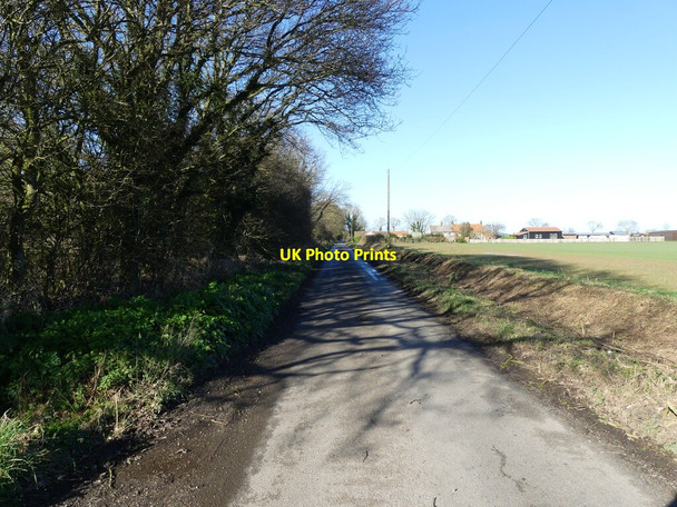 Photo 6"x4" North on minor rural road Happisburgh Common c2022