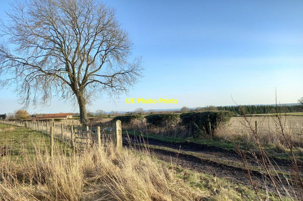 Photo 6"x4" Pockley, farm track Pockley c2022