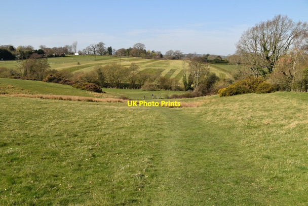 Photo 6"x4" Sussex Border Path Snagshall c2021