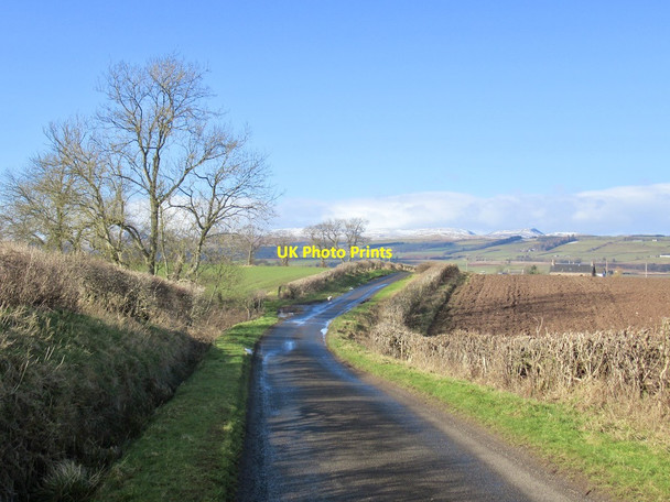 Photo 6"x4" Trinity Gask to Madderty road St David's c2022
