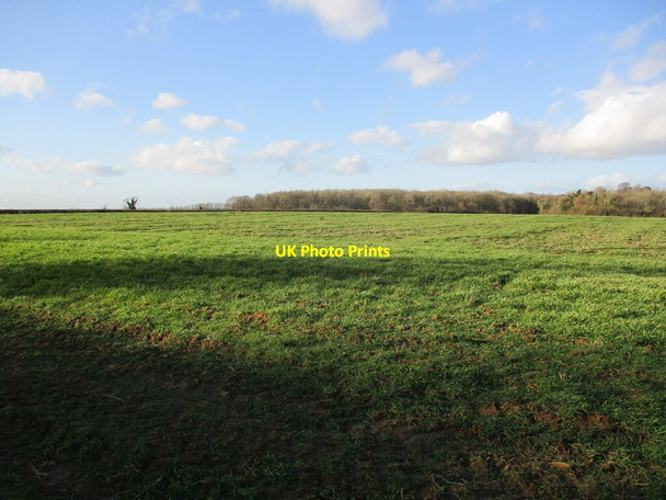 Photo 6"x4" Autumn sown crop off Racecourse Road Wothorpe c2022