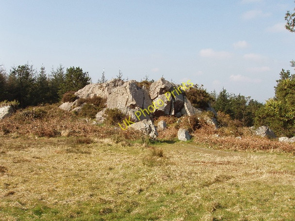 Photo 6"x4" Rock outcrop on Forth Mountain Cleristown c2009