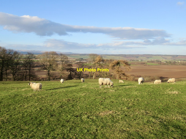 Photo 6"x4" Summit, Thorney Hill Aberuthven c2022