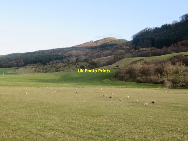 Photo 6"x4" Beneath the Ochils, Rossie Aberuthven c2022