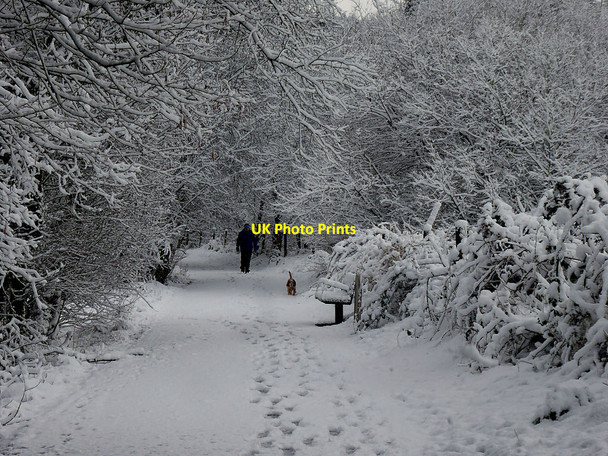 Photo 6"x4" Dog walker, Mullaghmore Omagh c2022