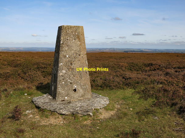 Photo 6"x4" Trig point on Collier Law (2) Crawleyside c2020