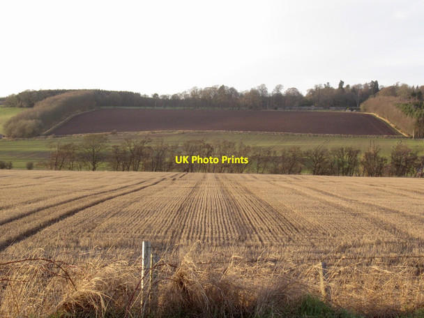 Photo 6"x4" Stubble, Dalreoch Clathy c2022