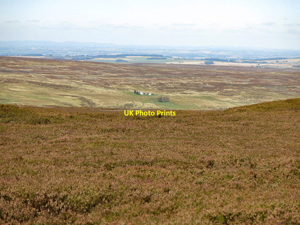Photo 6"x4" The northern slopes of Collier Law Crawleyside c2020