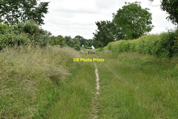 Photo 6"x4" Ashwell Street Royston\/TL3541 c2021