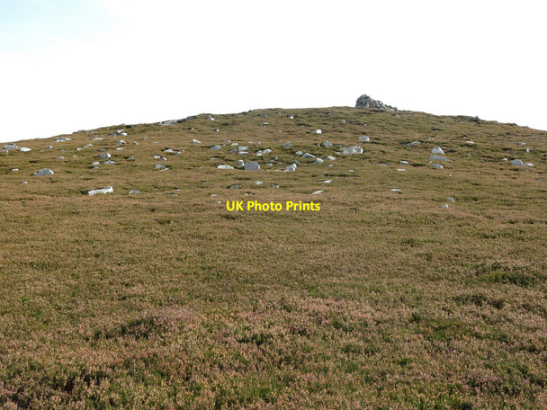 Photo 6"x4" The northern slopes of Fatherley Hill Frosterley c2020