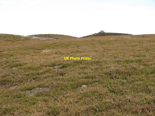 Photo 6"x4" The southwestern slopes of Fatherley Hill (3) Frosterley c2020
