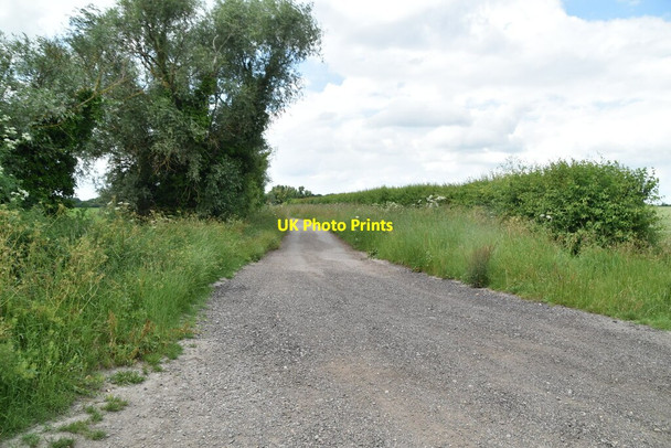 Photo 6"x4" Spring Lane Royston\/TL3541 c2021