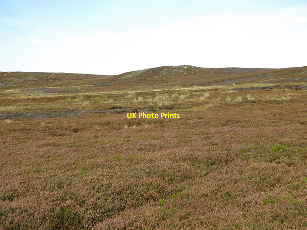 Photo 6"x4" Moorland below Fatherley Hill Stanhope\/NY9939 c2020