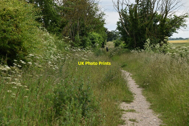 Photo 6"x4" Path by solar farm Royston\/TL3541 c2021