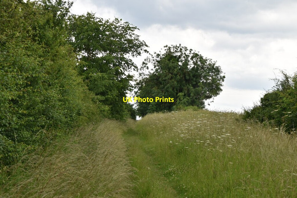 Photo 6"x4" Grassy footpath Royston\/TL3541 c2021 P1