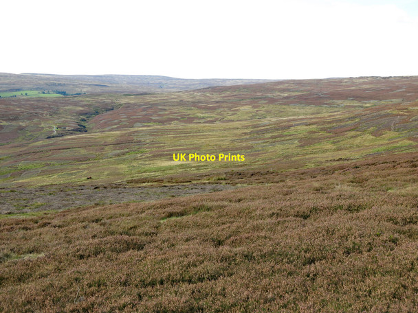 Photo 6"x4" Saugh Sikes Head Stanhope\/NY9939 c2020