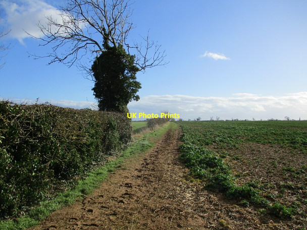 Photo 6"x4" The Viking Way towards Greetham Thistleton\/SK9117 c2022