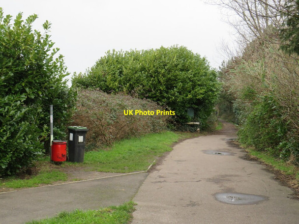 Photo 6"x4" Roman Road, Broadstone Rushcombe Bottom c2022