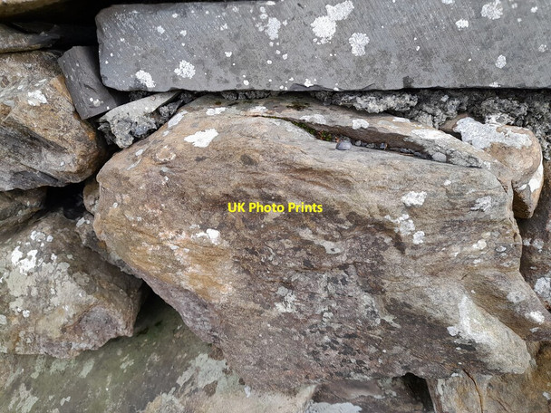 Photo 6"x4" Ordnance Survey Rivet Woodland\/SD2489 c2022