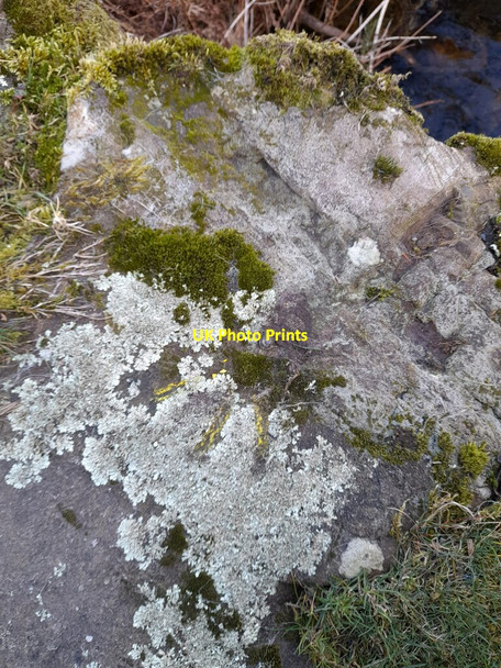 Photo 6"x4" Ordnance Survey Rivet Gawthwaite c2022