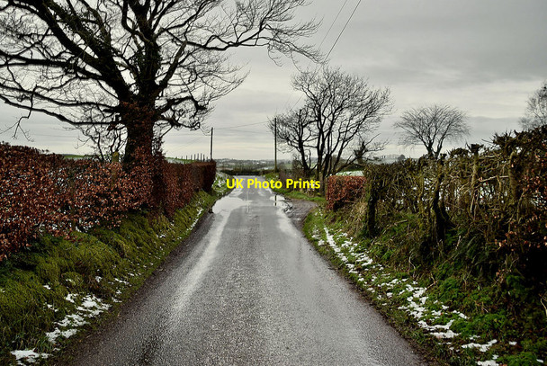 Photo 6"x4" Tycanny Road Garvaghy c2022