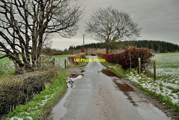 Photo 6"x4" Wet along Tycanny Road Garvaghy c2022