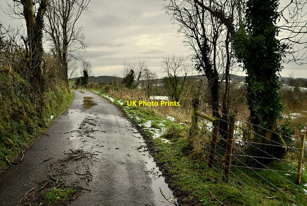 Photo 6"x4" Tycanny Road, Tycanny Garvaghy c2022
