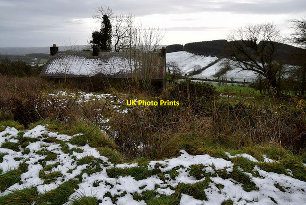 Photo 6"x4" Derelict farmhouse, Tycanny Garvaghy c2022