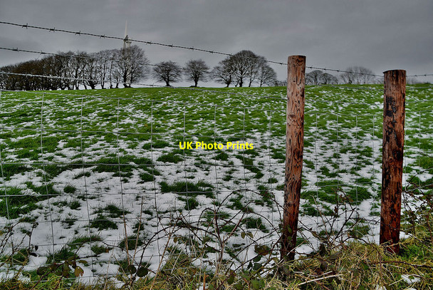 Photo 6"x4" Tycanny Hill, Tycanny Garvaghy c2022