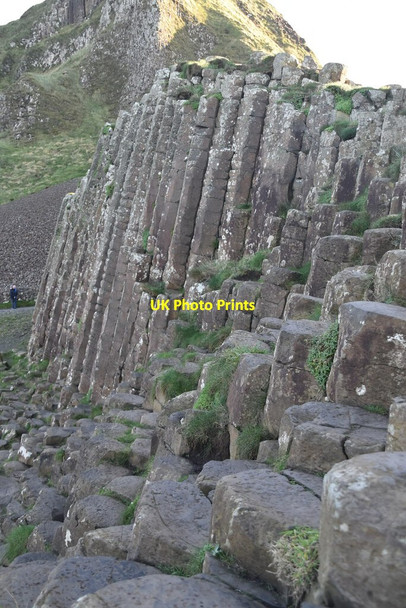 Photo 6"x4" Basalt columns, Giant's Gate Portballintrae c2021