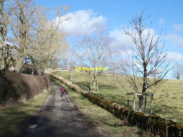 Photo 6"x4" The road to Halton Halton\/NY9967 c2022