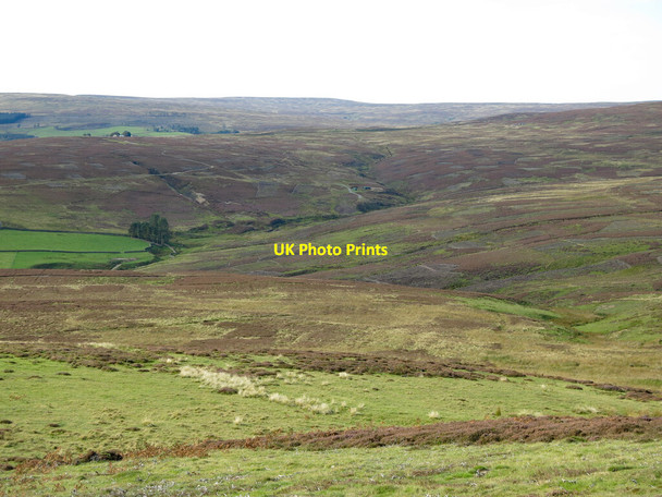 Photo 6"x4" The valley of Black Burn Stanhope\/NY9939 c2020