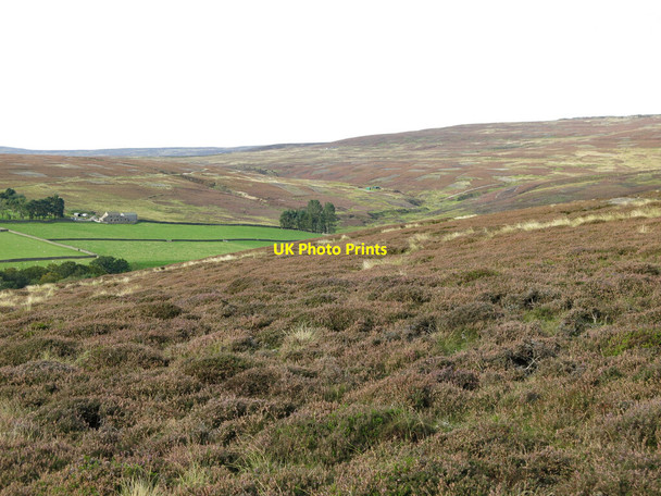 Photo 6"x4" Moorland above Shittlehope Edge (2) Frosterley c2020