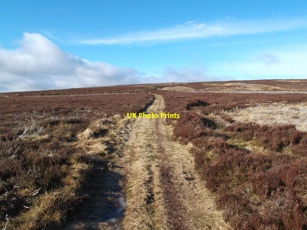 Photo 6"x4" St Cuthbert's Way on Gains Law Akeld c2022