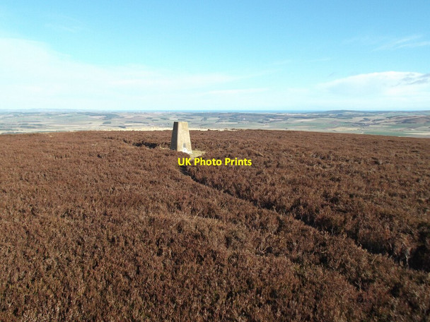 Photo 6"x4" Gains Law Akeld c2022