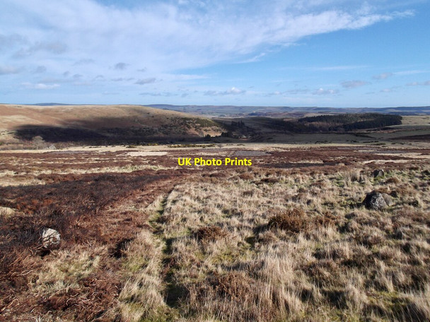 Photo 6"x4" Moorland by Fredden Hill Middleton Hall\/NT9825 c2022