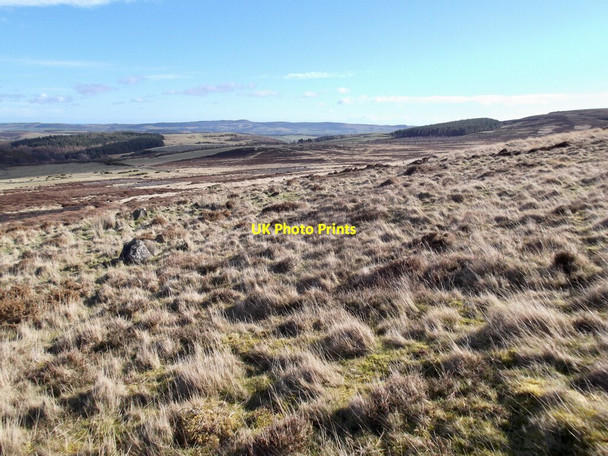Photo 6"x4" Moorland east of Fredden Hill Middleton Hall\/NT9825 c2022
