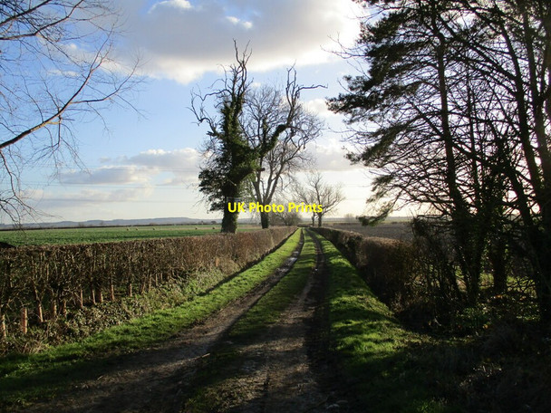Photo 6"x4" Footpath to Somerton Castle Coleby\/SK9760 c2022
